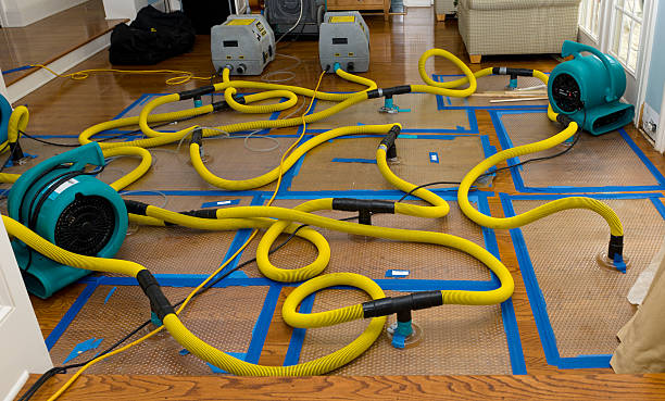 Professional Storm Water Damage Restoration technician working in Linden, AZ